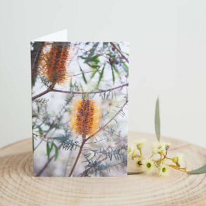 Banksia Greeting Card